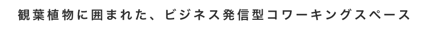 観葉植物に囲まれた、ビジネス発信型コワーキングスペース